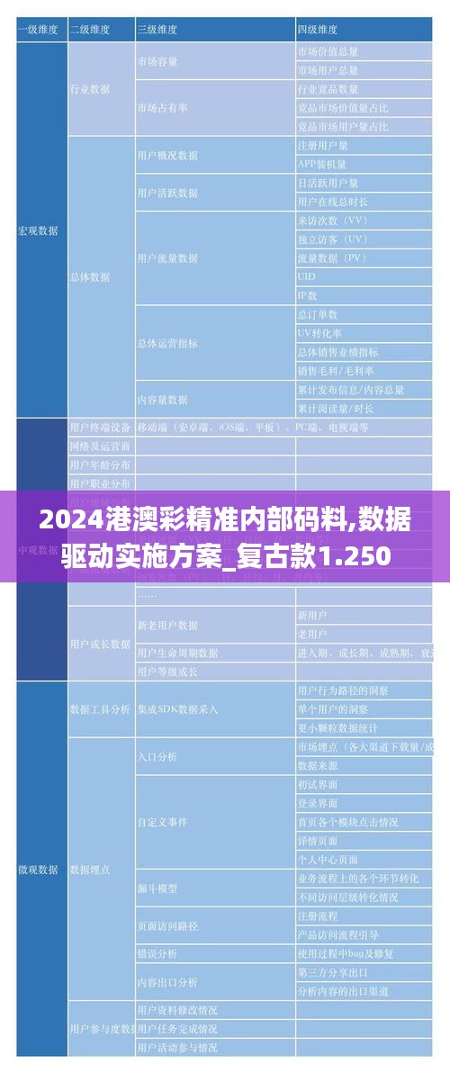 2024港澳彩精准内部码料,数据驱动实施方案_复古款1.250