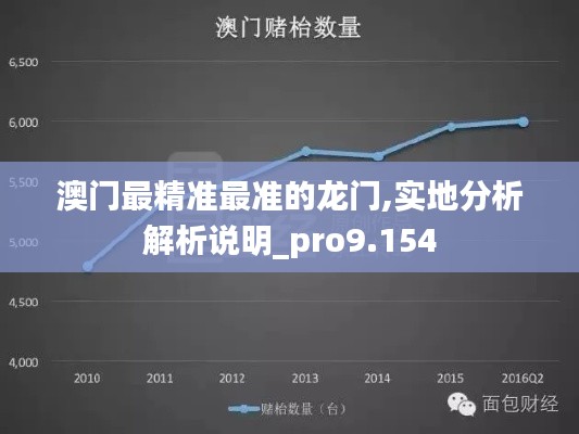 澳门最精准最准的龙门,实地分析解析说明_pro9.154