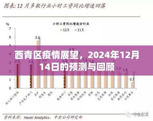 西青区疫情展望，预测与回顾至2024年12月1 4日