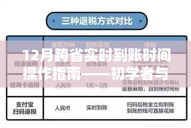 12月跨省实时到账操作指南，从初学者到进阶用户的完全教程