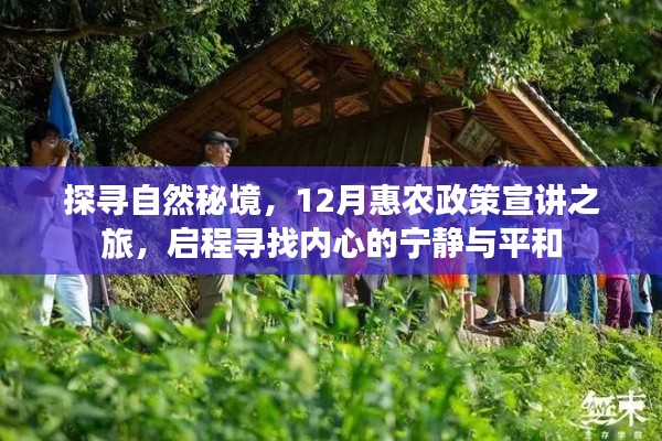 探寻自然秘境，启程寻找内心的宁静与平和——惠农政策宣讲之旅十二月启幕