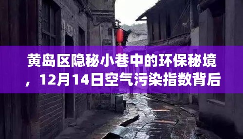 黄岛区隐秘小巷环保秘境揭秘，12月14日空气污染指数背后的探索