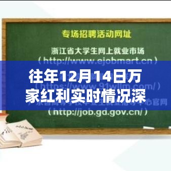 往年12月14日万家红利深度评测，特性、体验、竞争分析与用户洞察