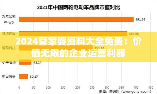 2024管家婆资料大全免费：价值无限的企业运营利器