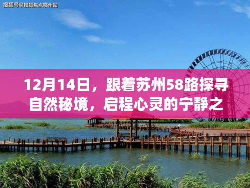 苏州58路探寻自然秘境之旅，心灵宁静的启程