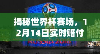 揭秘世界杯赛场背后的秘密，实时赔付率与背后的故事（12月14日）