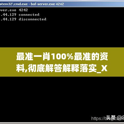 最准一肖100%最准的资料,彻底解答解释落实_XP13.192