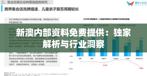 新澳内部资料免费提供：独家解析与行业洞察