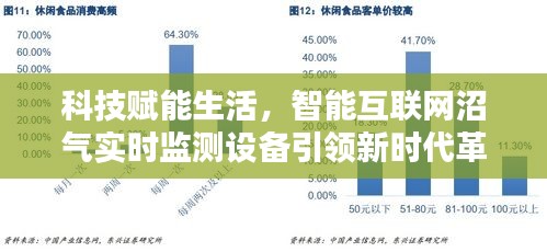 智能互联网沼气实时监测设备引领科技革新，开启智能生活新时代