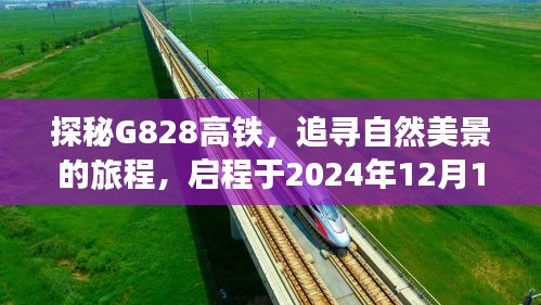 探秘G828高铁，启程于奇妙时刻的自然美景之旅，启程日期2024年12月18日