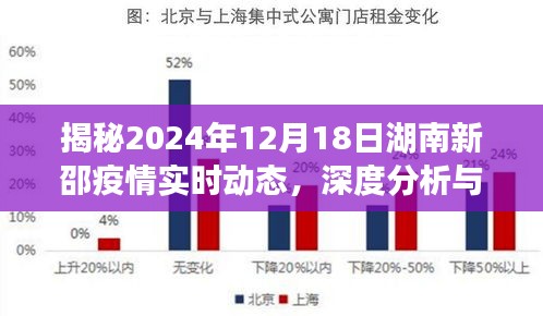 2024年12月18日 第46页