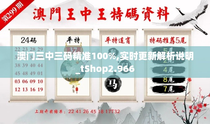 澳门三中三码精准100%,实时更新解析说明_tShop2.966