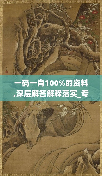 一码一肖100%的资料,深层解答解释落实_专业版9.176