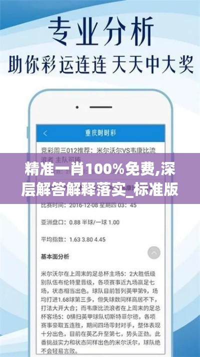 精准一肖100%免费,深层解答解释落实_标准版3.130