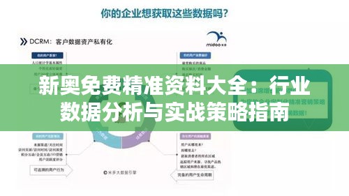 新奥免费精准资料大全：行业数据分析与实战策略指南