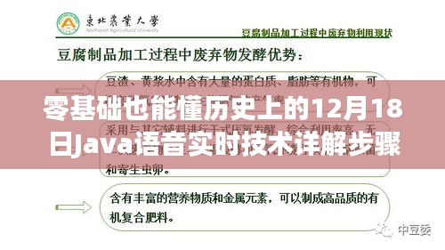 零基础也能懂，Java语音实时技术详解及步骤指南（12月18日版）