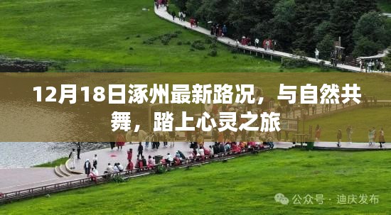 12月18日涿州最新路况，与自然共舞的心灵之旅