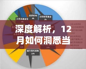 深度解析，如何洞悉12月实时基金盈亏情况——我的个人见解