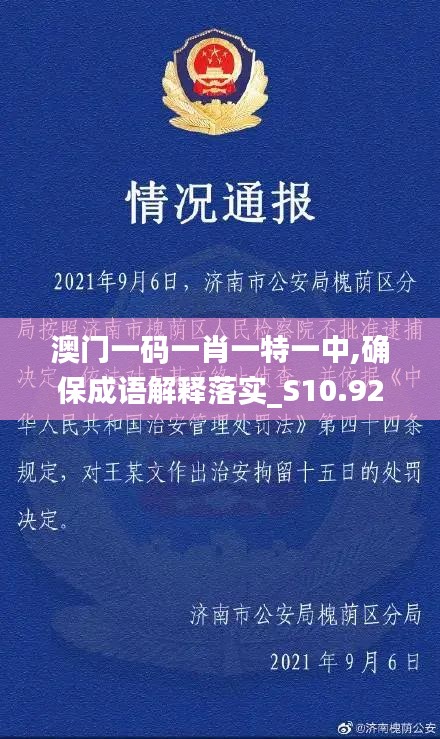 澳门一码一肖一特一中,确保成语解释落实_S10.922