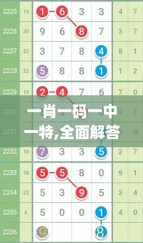 一肖一码一中一特,全面解答解释落实_领航版1.828