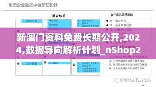 新澳门资料免费长期公开,2024,数据导向解析计划_nShop2.576