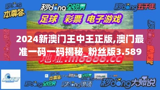 2024新澳门王中王正版,澳门最准一码一码揭秘_粉丝版3.589