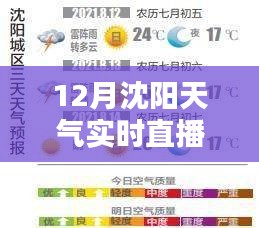 沈阳12月天气实时直播预报产品全面解析与介绍