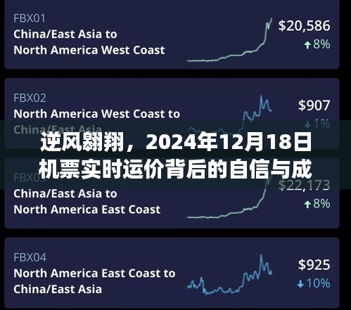 逆风翱翔背后的自信与成就之旅，揭秘2024年12月18日机票实时运价策略