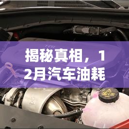 揭秘真相，汽车油耗实时显示准确性揭秘，真相在12月揭晓！