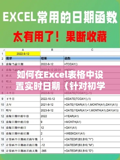 Excel表格中设置实时日期教程，适合初学者与进阶用户指南