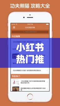 揭秘，小红书热门推荐下的实时翻译官APP神奇魅力，历年12月18日回顾