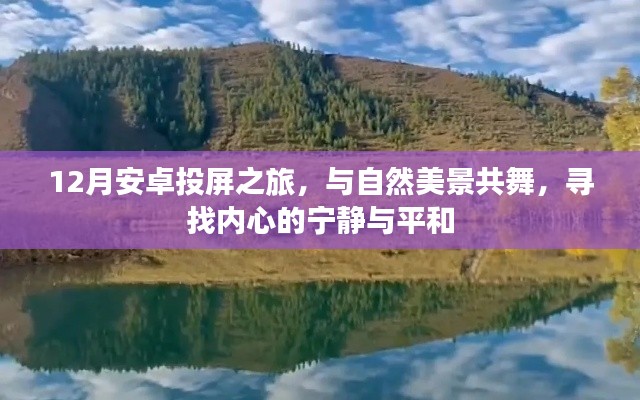 12月安卓投屏之旅，与自然共舞，探寻内心宁静的平和