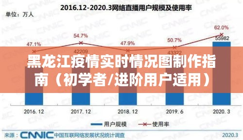 黑龙江疫情实时情况图制作指南，适合初学者与进阶用户参考