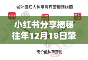 小红书分享，揭秘肇庆市区往年12月18日实时水位实况，掌握水情动态！