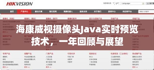 海康威视摄像头Java实时预览技术，一年发展回顾与未来展望