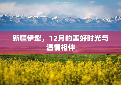 新疆伊犁，12月的美好时光与温情之旅