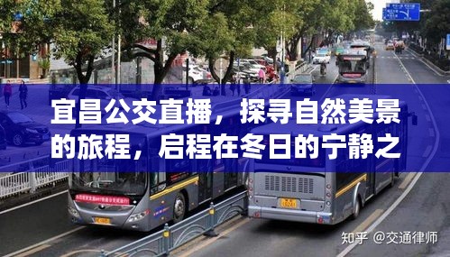 宜昌公交直播，探寻自然美景之旅，启程冬日的宁静之旅