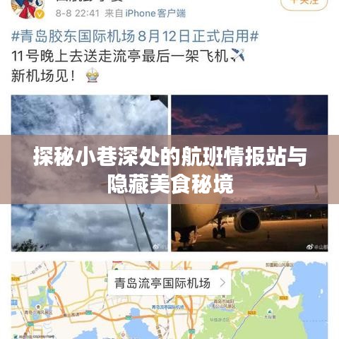 探秘航班情报站与小巷美食秘境的奇妙之旅