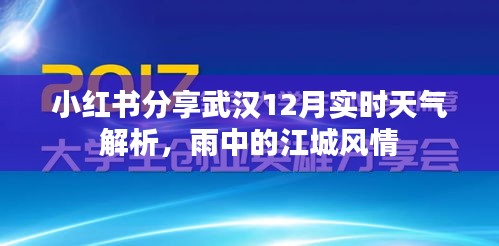 小红书分享，武汉12月实时天气解析与雨中的江城风情