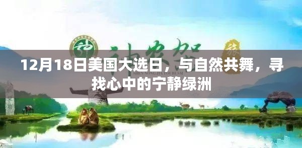 美国大选日与自然共舞，寻找心灵绿洲的宁静时刻