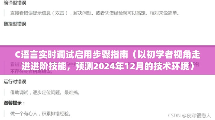 C语言实时调试入门指南，初学者视角，进阶技能，预测未来技术环境