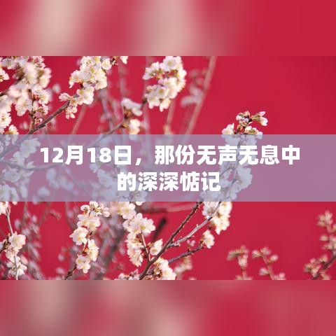 12月18日的无声惦念