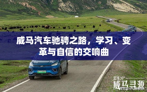 威马汽车，学习、变革与自信的驰骋之路