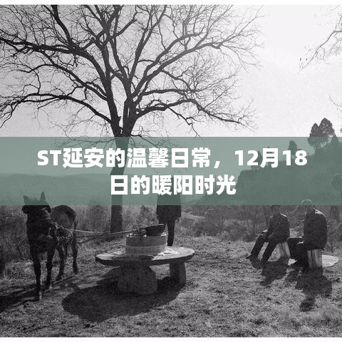 ST延安暖阳下的温馨日常，12月18日的暖时光