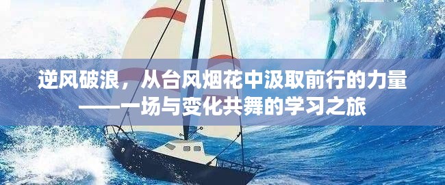 逆风破浪，台风烟花中的前行力量与变化共舞的学习之旅