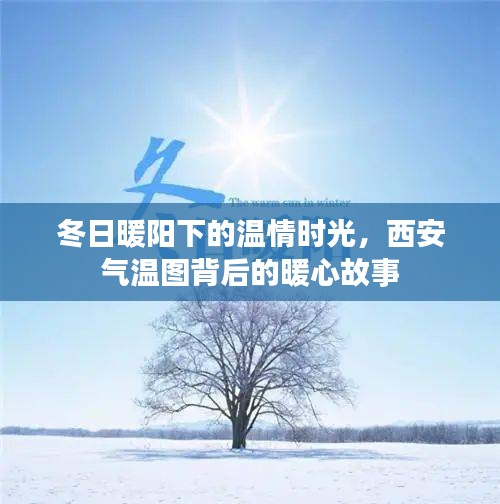 冬日暖阳下的西安，温情时光与气温背后的暖心故事