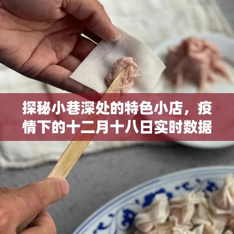 十二月十八日实时数据岛之旅，探秘小巷特色小店