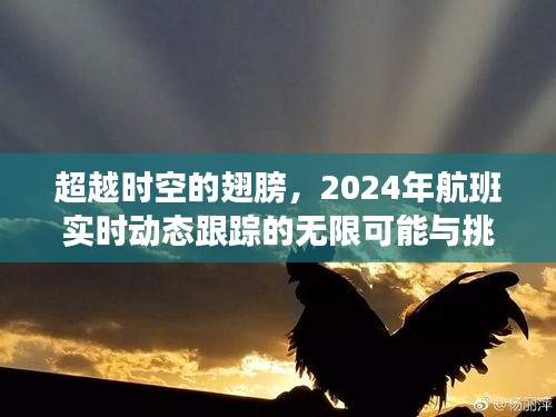 超越时空之翼，航班实时动态跟踪的无限可能与挑战（2024年展望）