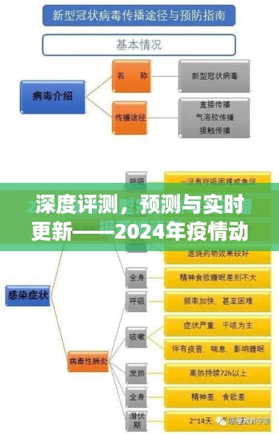 2024年12月22日 第20页