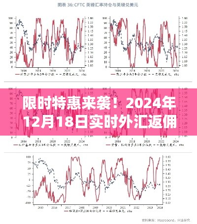 限时特惠来袭！揭秘实时外汇返佣大解密（附日期，2024年12月18日）